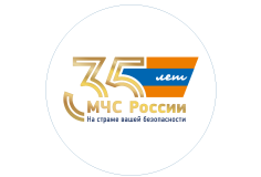 Федеральный государственный пожарный надзор